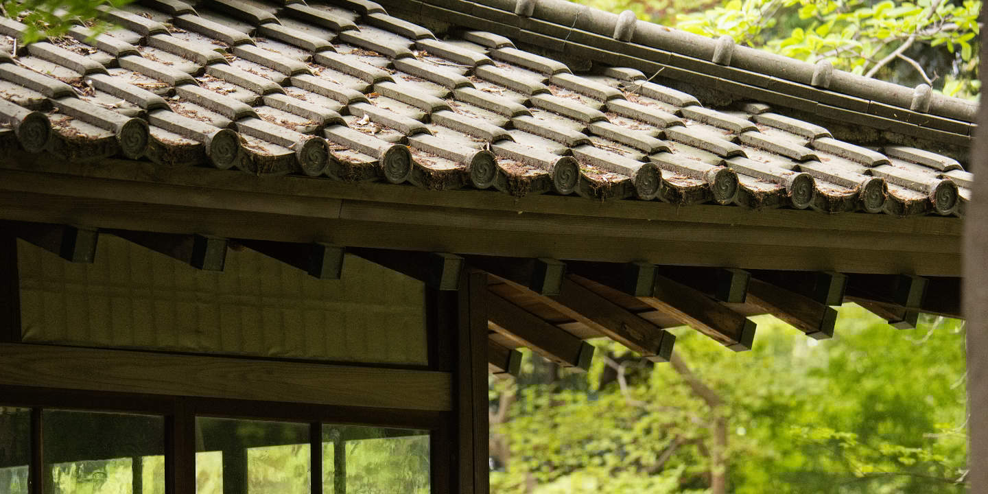 Tokyo: Tur Foto Pernikahan dengan 3 Lokasi & Penataan Profesional